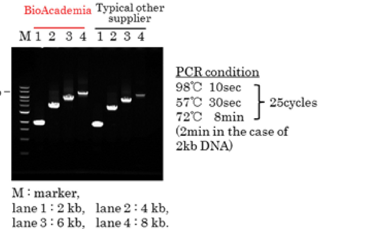 Taq 02-001 λDNA PCR 증폭 겔 — BioAcademia와 타사 비교