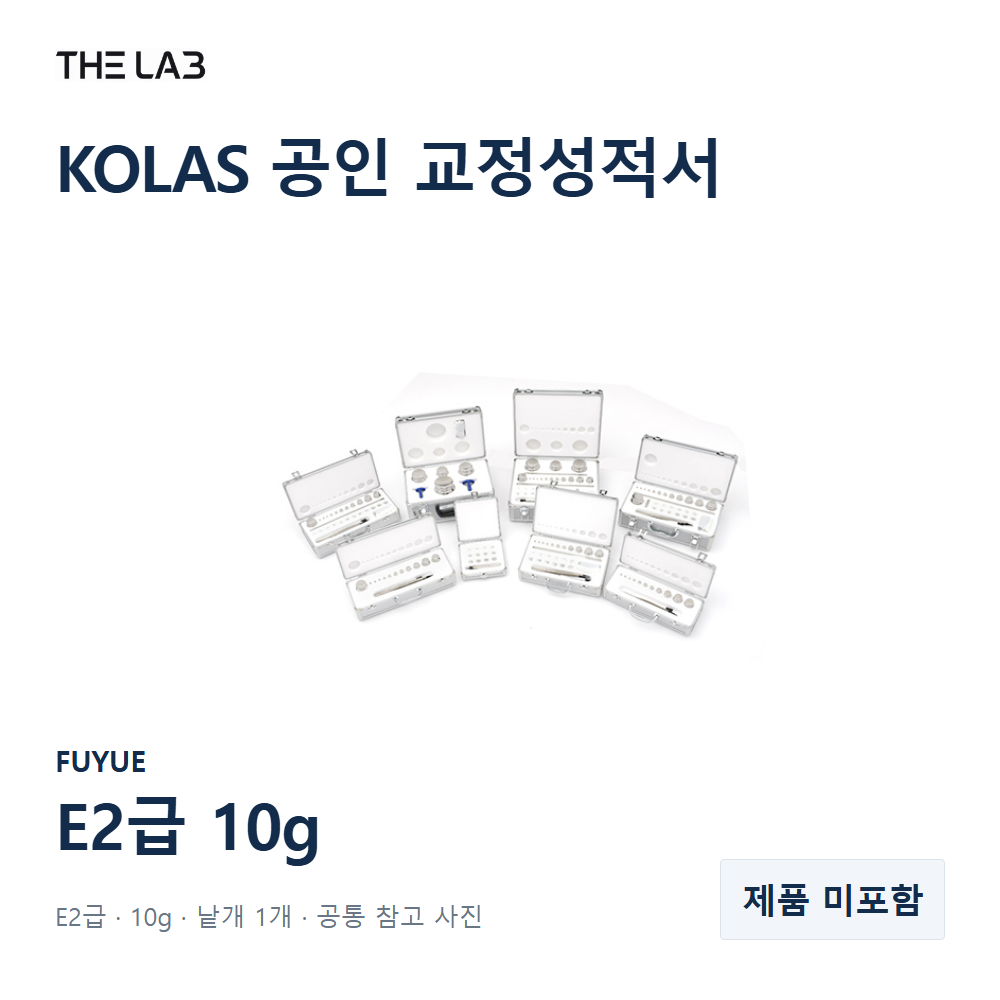 FUYUE E2급 10g 교정 서비스