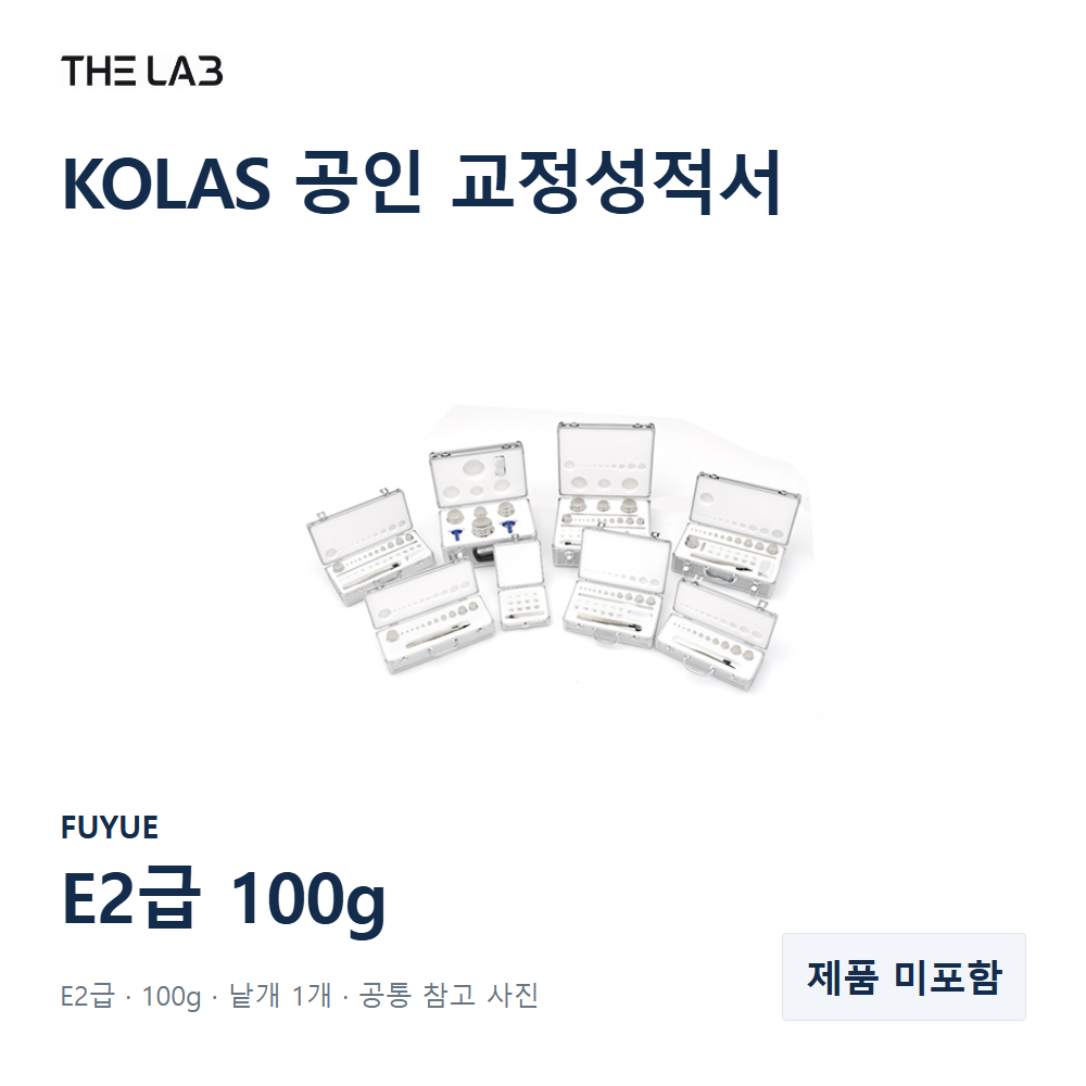 FUYUE E2급 100g 교정 서비스
